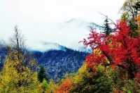 Heishui Jinshan Yiju Homestay - vue sur la montagne
