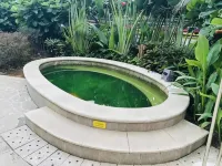 Grand Barony Hotel - Hot Springs