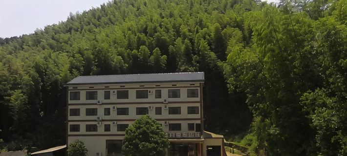 Youxian Diaoyu Island Mountain Villa Hotels in You County