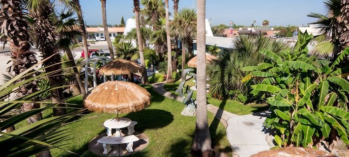 Daytona Dream Inn by AmeriVu Hotels in Volusia County