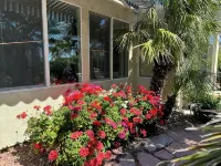 Magical Getaway: Garden Oasis & Pool, Golfing, Hiking,Special Discounts. Hotels near Mount Charleston