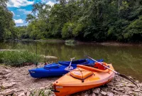 Little Miami Riverfront 3-bedroom house one bedroom in a tree house. - 4-Star
