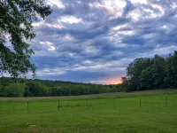 Charming 2-bedroom house on 3 private acres. Secluded & pet friendly! - Wifi