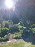 Charming 1-bedroom house surrounded by trees just outside tranquil Waldport