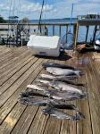 Lakeside Getaway on Toledo Bend with Private Pier & Boat Access - 무료 와이파이