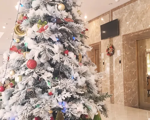 Vienna Royal Hotel Bac Ninh Здоровье и отдых Photos