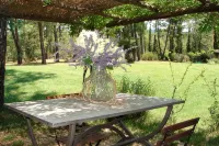 Poggio Corsucci - Il Nido: intimate stone house with pool and enchanting views - 3-Star