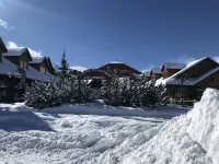 authentic Scandinavian log cabin - Homestays