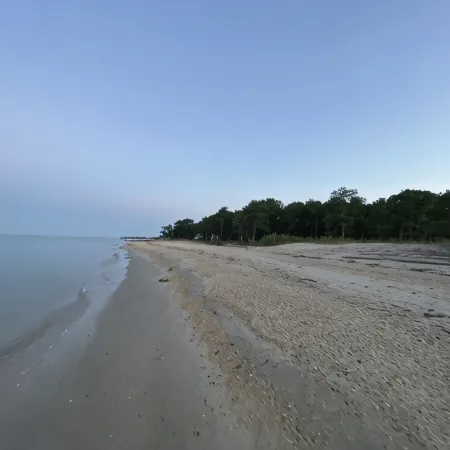 Private Beach Front Getaway at The Sunshine Beach Cottage.