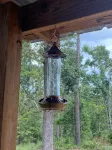 The Eagles Nest located in Fairmont off HWY 3315 - 무료 와이파이