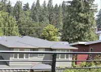 Modern, new and close to lake - Wifi