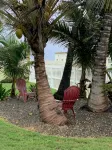 Lovely beach home with amazing grounds and private swimming pool