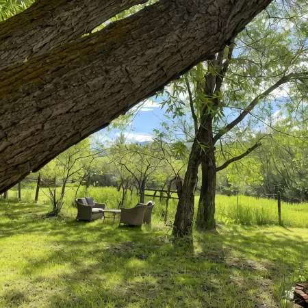 Pony, MT — Dogs & Horses OK — on Private Creek
