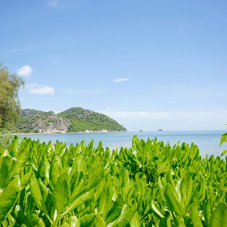 4 Bed Beachfront Condo (SP43)