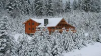 Huge Mt Views, Hgtv Show Log Home - Gated Development, CLE Elum Minutes Away!!! - Alphydda