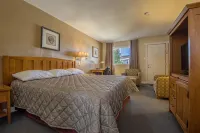 Alpine Motor Inn Hotel di 