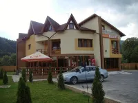 Pensiunea Floare de Colţ Hotels in 