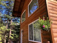 Aurora Skies Lodging - Private Cabin with Open Loft Bedroom - Sleeps 3-6 - Chalets