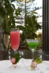 Hotel Do Campo - bar