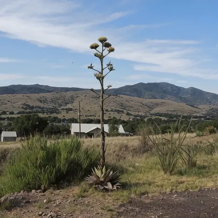Casita on Arabella Mountain