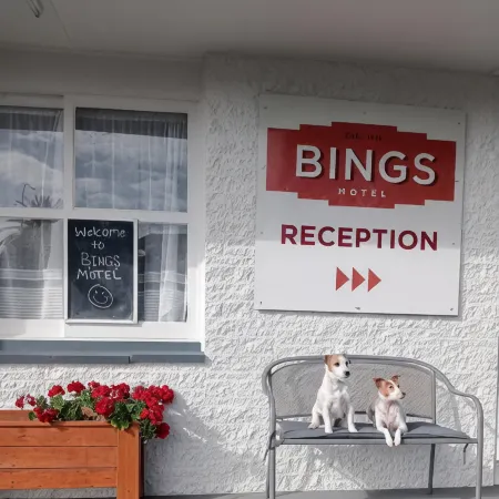 Bings Motel
