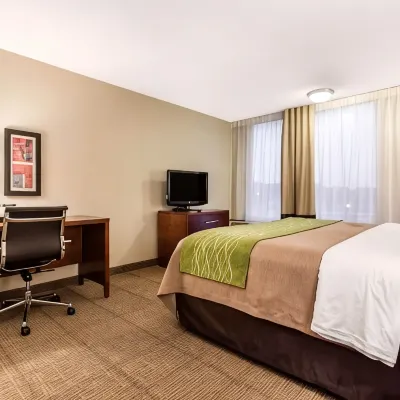 Comfort Inn & Suites Omaha Central Hotels near Horsemen's Park