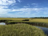Amelia Island Plantation Spectacular ocean front - Villas