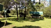 Pilgrims Getaway Отели в г. 