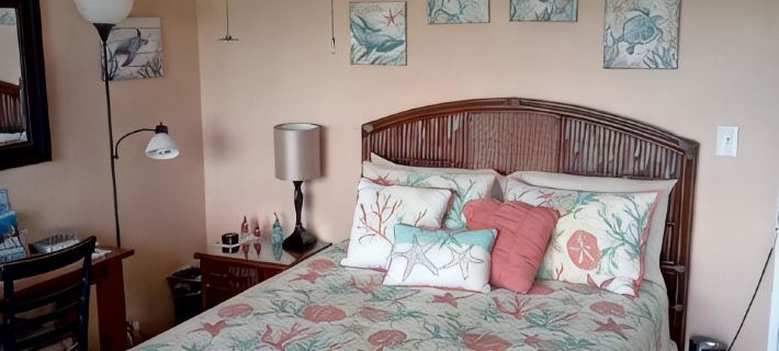 Studio apt. with A/C, Fridge, Semi-Private pool in the Center of kihei Hotels in Kihei