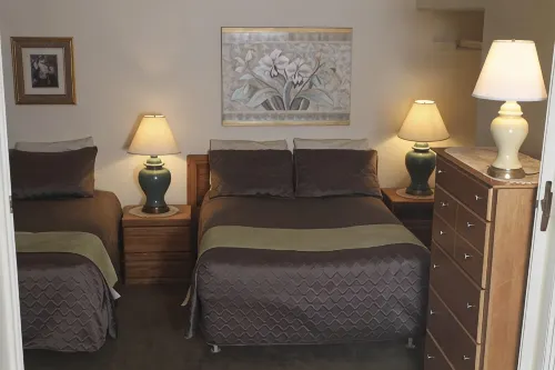 'Best Deal in Telluride' - Walk to Gondola & lift 8!     TBL #00111 - 2-Star