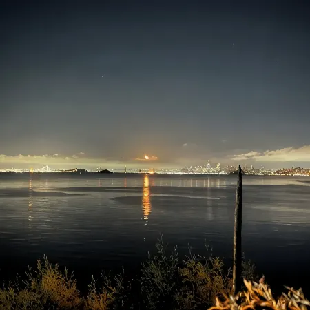 Cozy quiet & relaxing hide-a-way in the heart of Sausalito's ‘Hurricane Gulch
