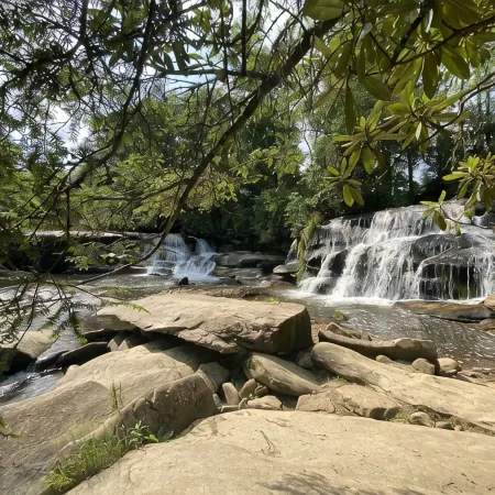 Have the Best of Both: Quick Access to Downtown Brevard & Pisgah Forest.