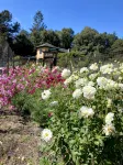 Monterey Bay Farm Retreat! Best Access to Monterey & Santa Cruz Attractions. - Homestays