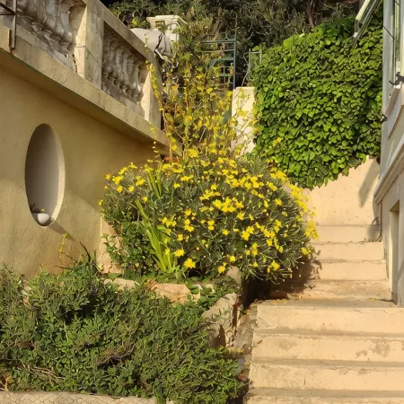 independent accommodation with exceptional sea view