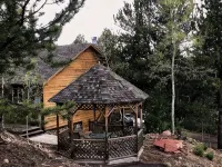 Hummingbirds Have Arrived - 2-Star