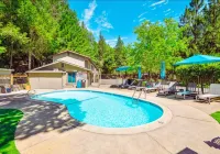 The Fainting Couch - Pools