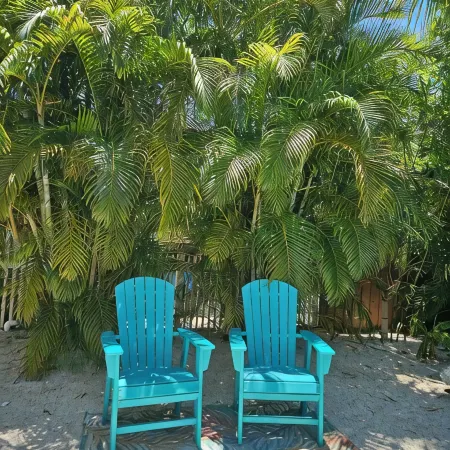 A Lazy River Day & Night 4 Bedrm  w lazy river heated pool! Bikes & Beach Gear!
