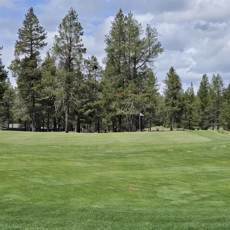 Newly Remodeled Condo on Golf Course, A/C, Pet Friendly, SHARC passes, Bikes.