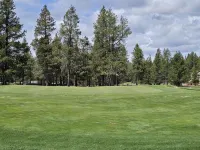 Newly Remodeled Condo on Golf Course, A/C, Pet Friendly, SHARC passes, Bikes. - Pools