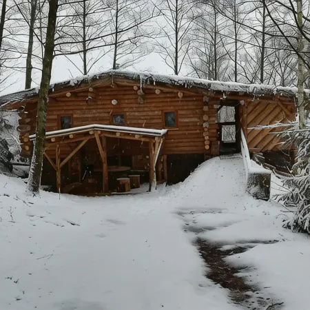 Unusual, secluded log cabin in the Vosges with luxury spa