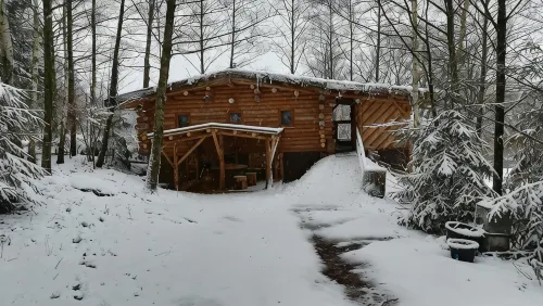 Unusual, secluded log cabin in the Vosges with luxury spa - Chalets