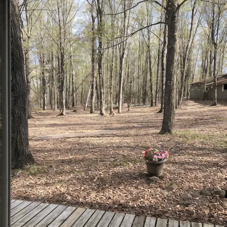 Cozy vacation home nestled in a quiet wooded area. Near town but private