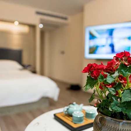 Jiusu Culture Hotel