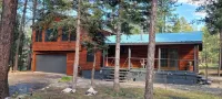 Your going to fall in love with this cabin.outstanding for family,multi families - Homestays
