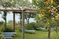 Hotel Maronti - Park Yeri