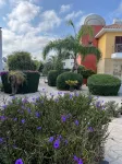 2 Bedroom Ground Floor Apartment Close to Shops, Restaurants, Old Town and beach - 2-Star