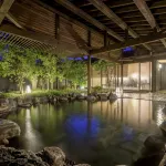 Hotel Seifuen - Hot Springs