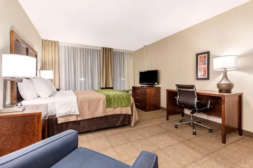 Comfort Inn & Suites Omaha Central - bar