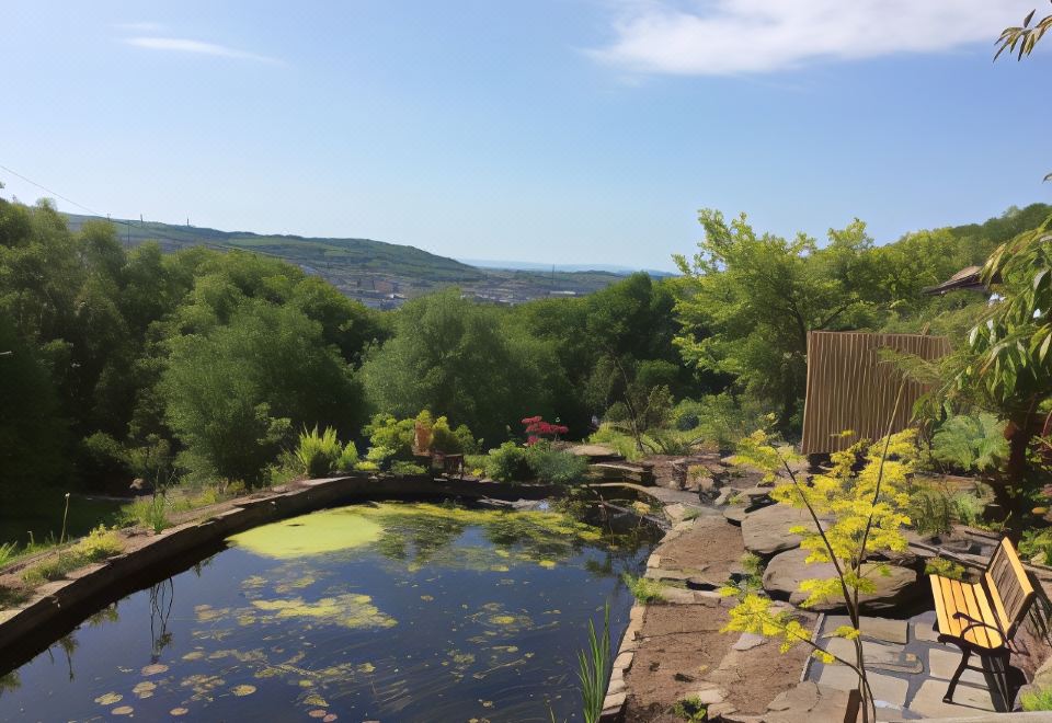 a beautiful garden with a pond , surrounded by lush greenery and trees , under a clear blue sky at Cwmbach Guest House