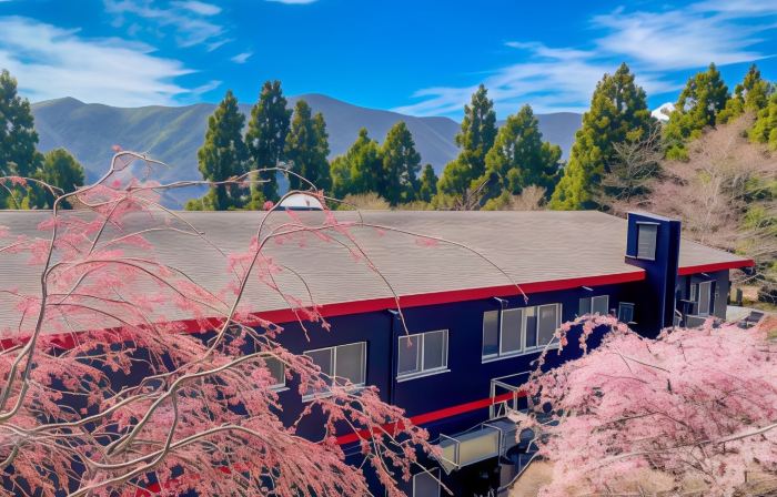 LiVEMAX RESORT HAKONEASHINOKO